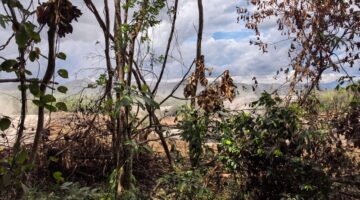 Bedah Dokumen: Operasional PT Antang Gunung Meratus di Lahan SHM Rakyat Diduga Tabrak UU Minerba dan KUHP