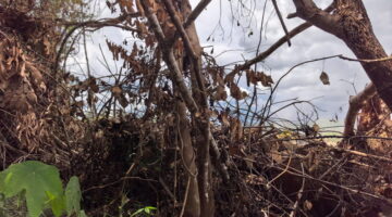 Skandal Tambang di Atas Lahan Cacat Hukum: Penetapan Tersangka Para Kepala Desa Runtuhkan Legitimasi Operasional PT AGM