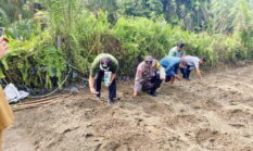berita-pilihan-foto