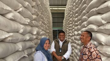 BULOG Capai Target Beras Nasional, KC Karo Bidik Target Serap Gabah 100%